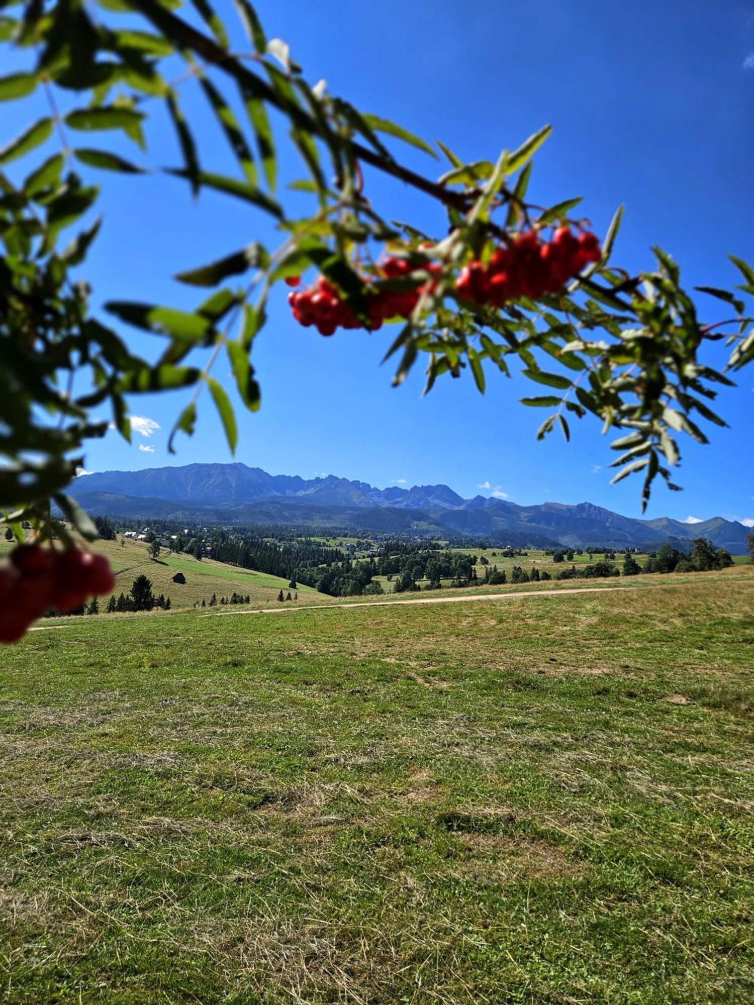 Goralska Chatka 2 Highland Cottage - Split Ac, Jacuzzi, Sauna, Private Parking, Mountains View, Garden, Zakopane Bagian luar foto